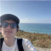 Profesor de apoyo, para refuerzo en clases de física básica y matemáticas de academia